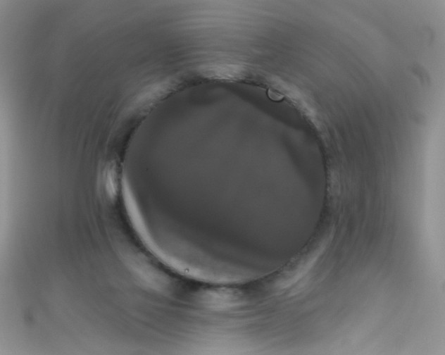 X0000111020069200907022207