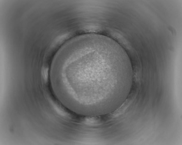 X0000111020070200907022207