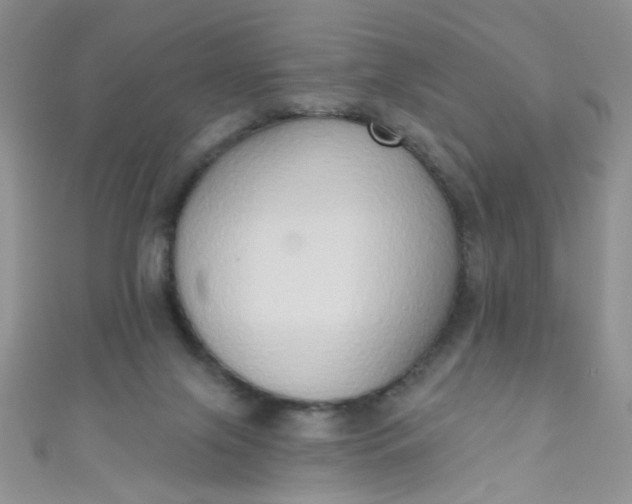 X0000111020071200907022207