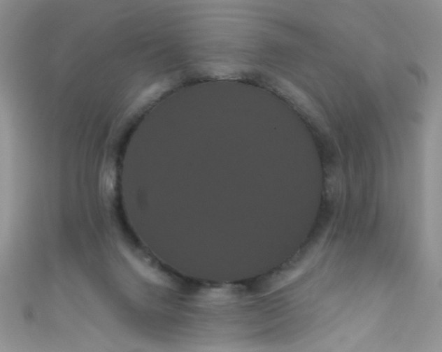 X0000111020072200907022207
