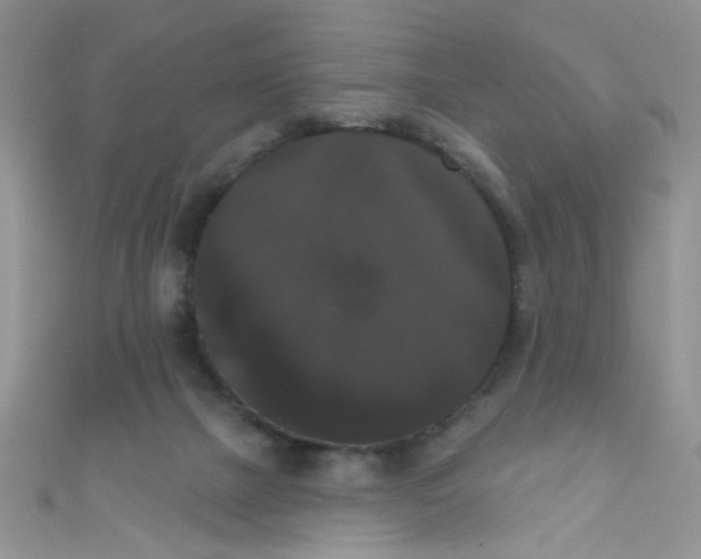 X0000111020073200907022207