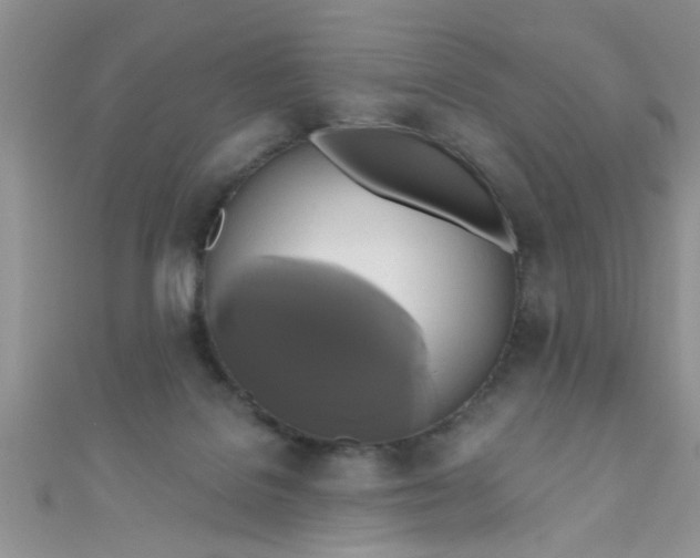 X0000111020076200907022207