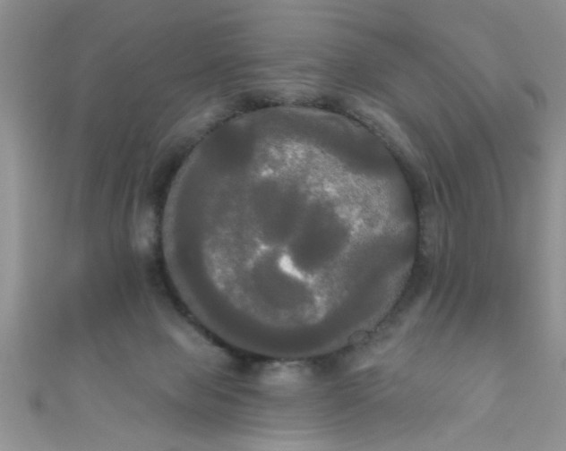 X0000111020077200907022207