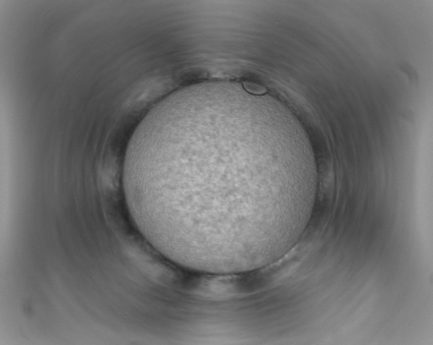 X0000111020078200907022207