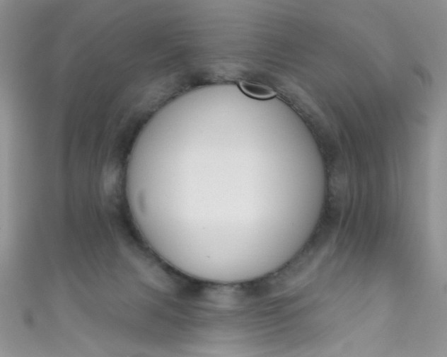 X0000111020079200907022207