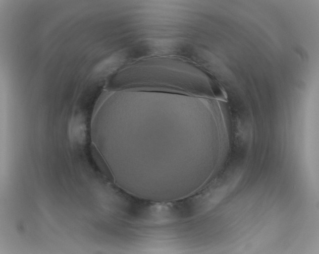 X0000111020080200907022207
