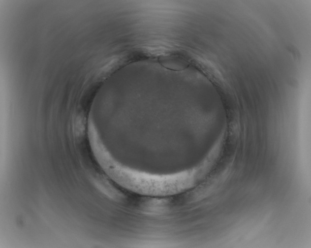 X0000111020081200907022207