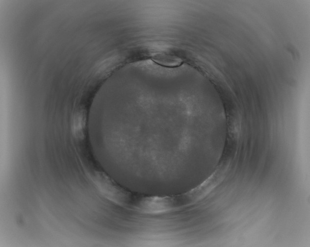 X0000111020082200907022207
