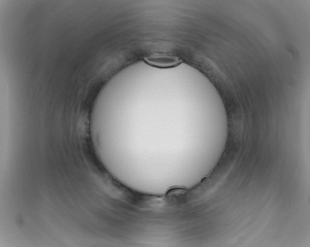 X0000111020083200907022208