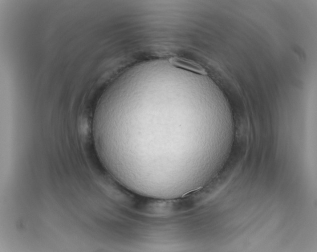 X0000111020084200907022208