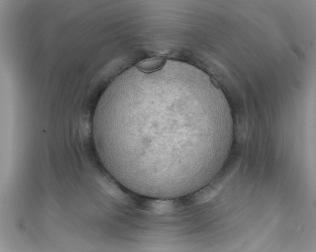 X0000111020085200907022208