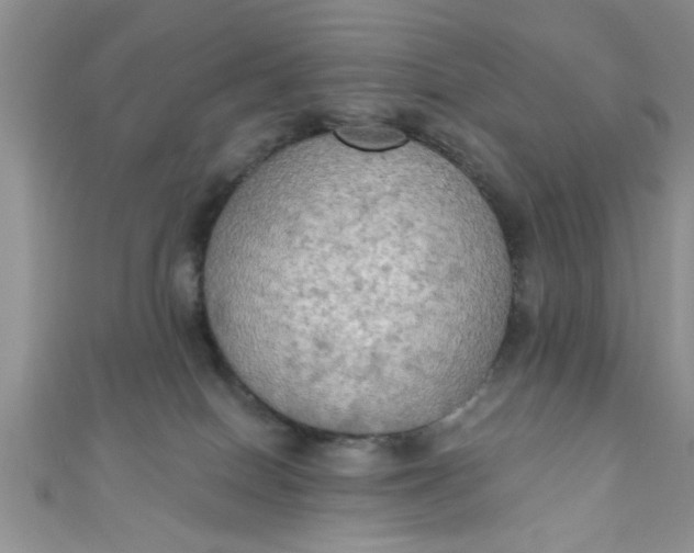 X0000111020086200907022208