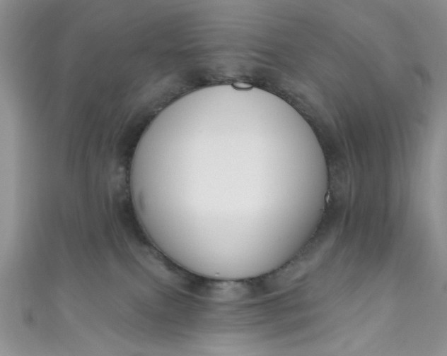 X0000111020087200907022208