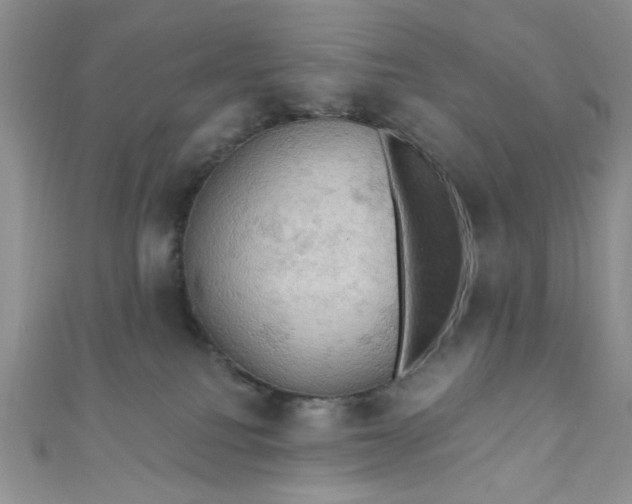 X0000111020088200907022208