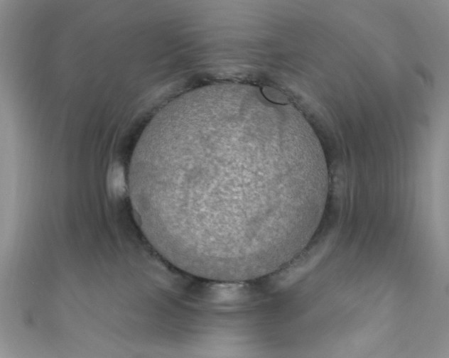 X0000111020089200907022208