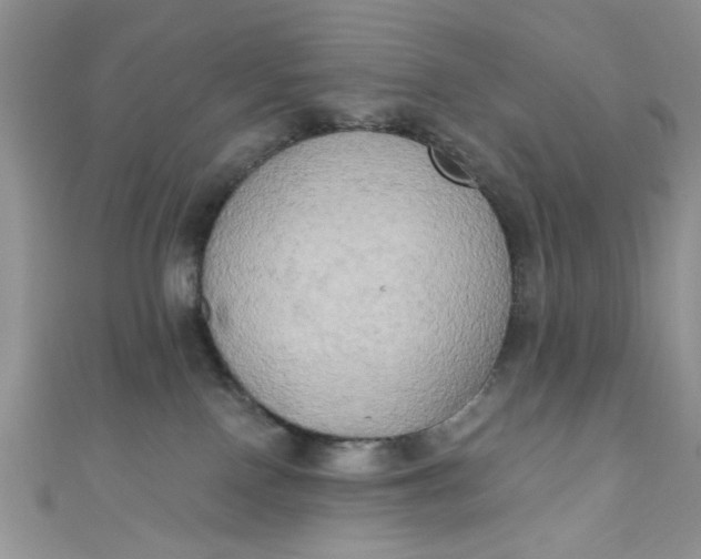X0000111020090200907022208