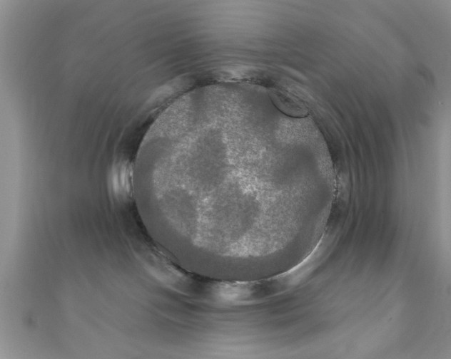 X0000111020094200907022208