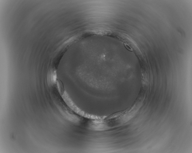 X0000111020095200907022208