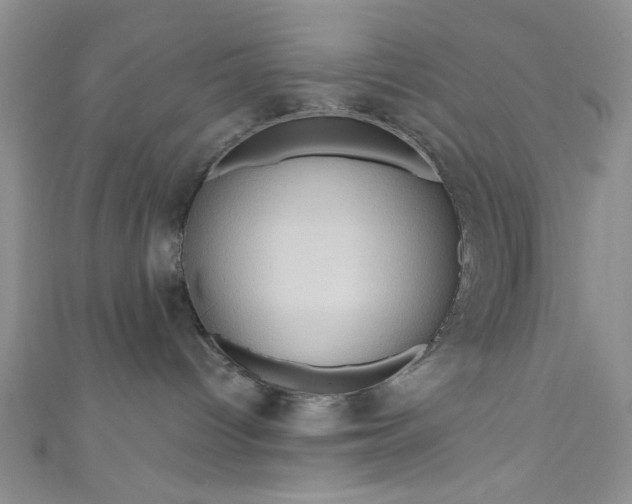 X0000111020096200907022208