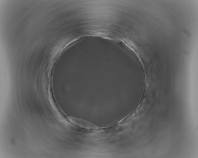 X0000111020097200907022207