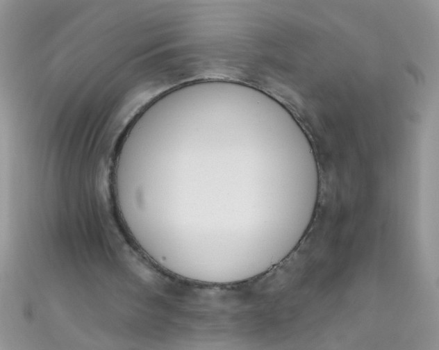X0000111020098200907022207