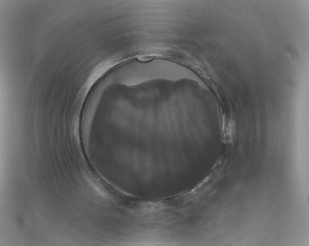 X0000111020099200907022207