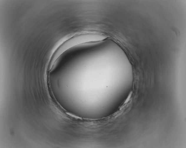 X0000111020100200907022207