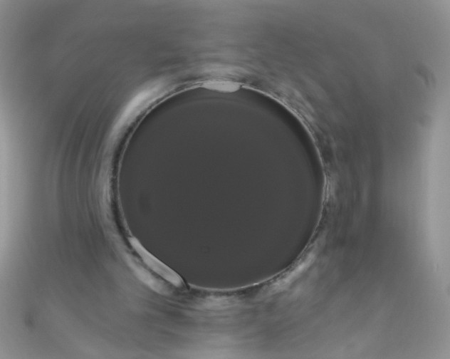 X0000111020101200907022207