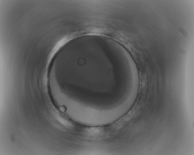 X0000111020102200907022207