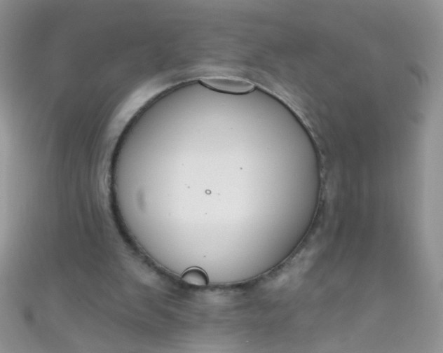 X0000111020103200907022207