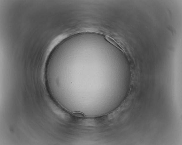 X0000111020104200907022207