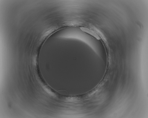 X0000111020105200907022207