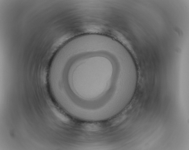 X0000111020106200907022207