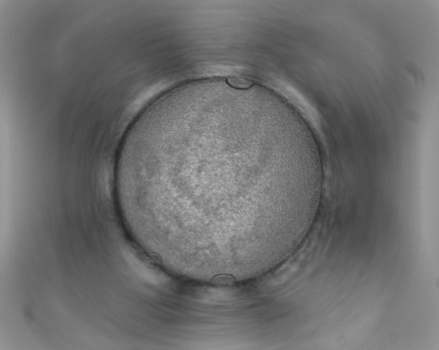 X0000111020107200907022207
