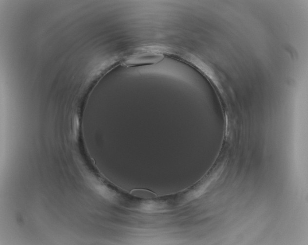 X0000111020109200907022207