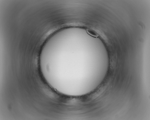 X0000111020111200907022207