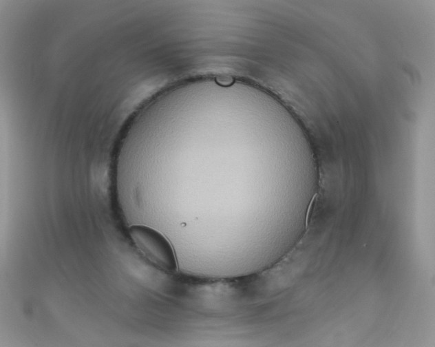 X0000111020112200907022207