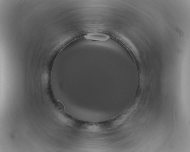 X0000111020113200907022207