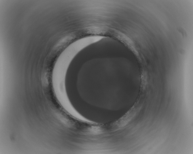 X0000111020114200907022207