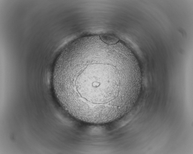 X0000111020115200907022207
