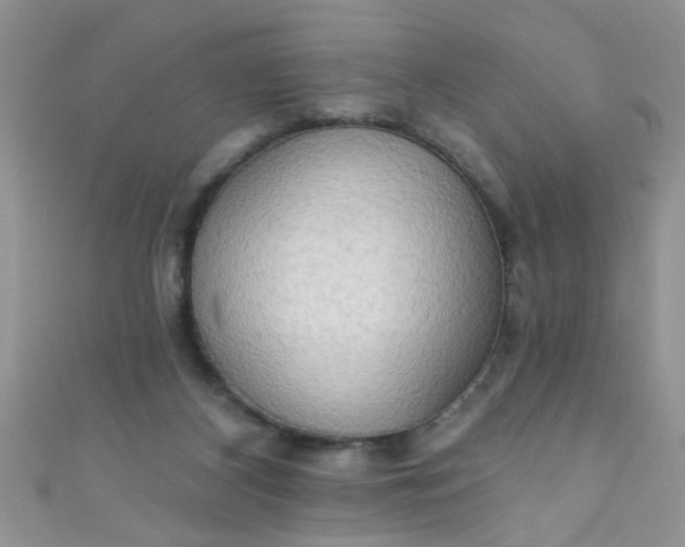X0000111020116200907022207