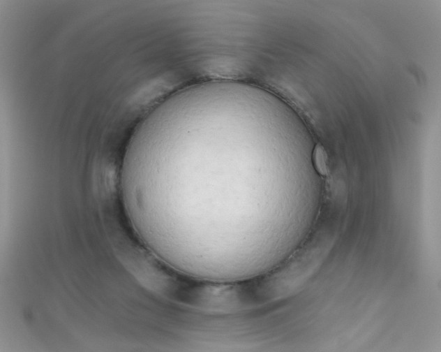 X0000111020117200907022207