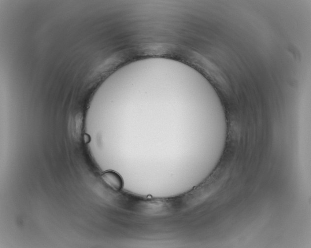 X0000111020118200907022207