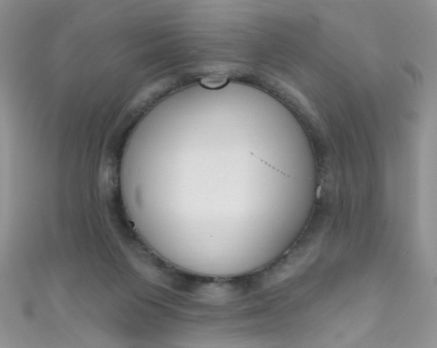 X0000111020119200907022207