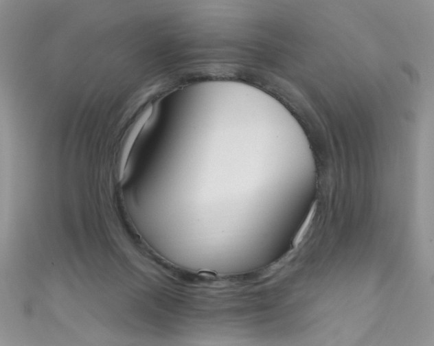 X0000111020120200907022207