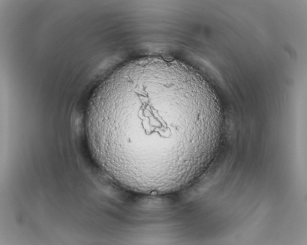 X0000111020123200907022207