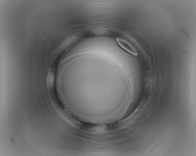 X0000111020124200907022207
