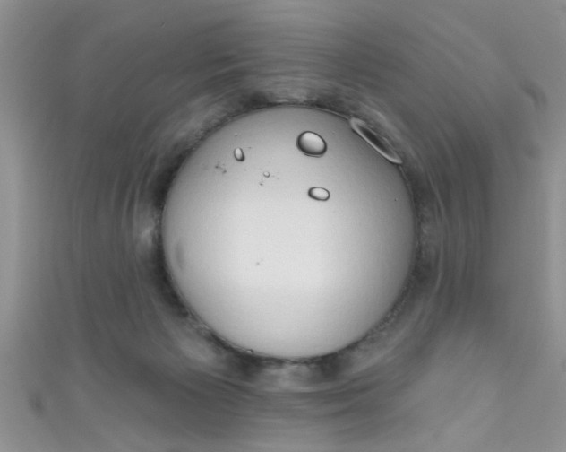 X0000111020125200907022207