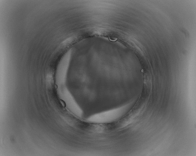 X0000111020127200907022207