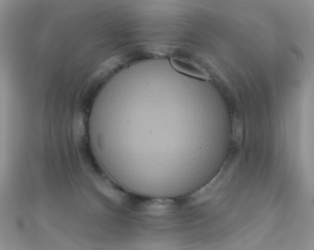 X0000111020128200907022207